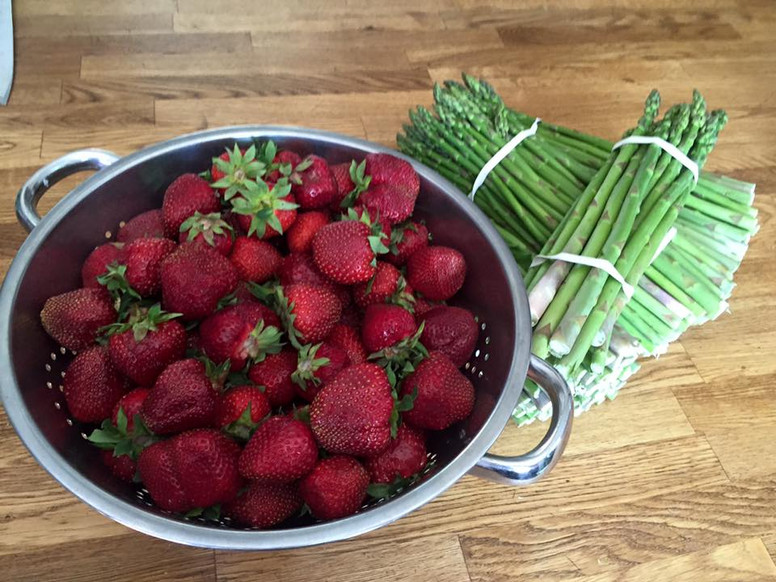 13466098_1101516693247337_21970840495763