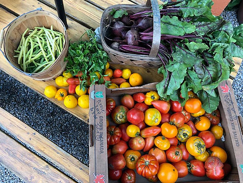 39916196_1891877730877892_53092629071527