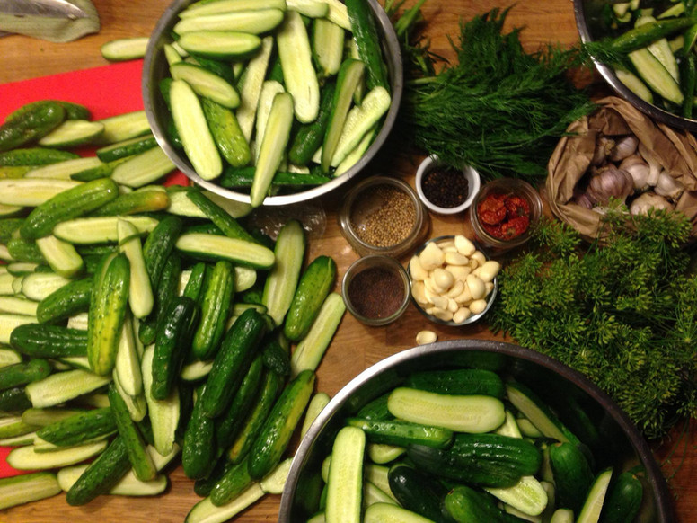 10547928_734748419924168_798790224514114