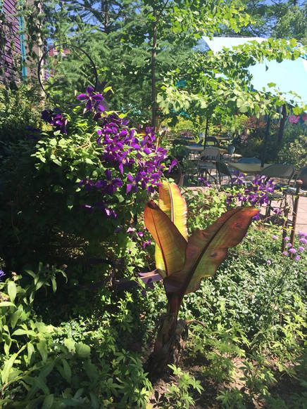 36650855_1810923955639937_84567112434183